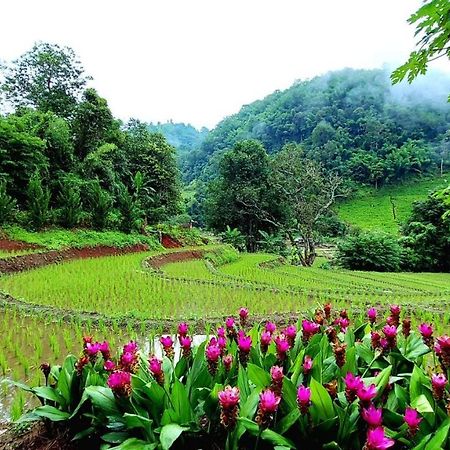 Kowitfarmstay Ban Mae Pan Noi Exteriör bild