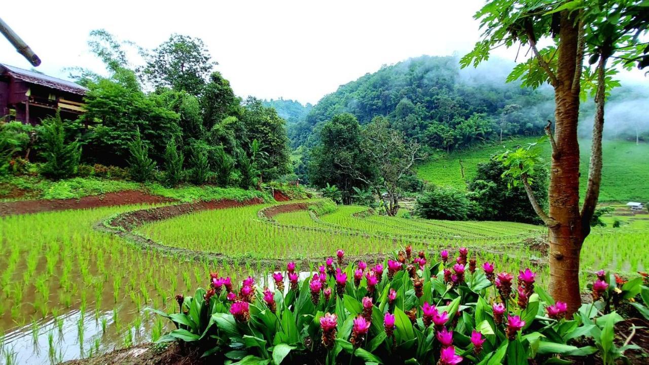 Kowitfarmstay Ban Mae Pan Noi Exteriör bild