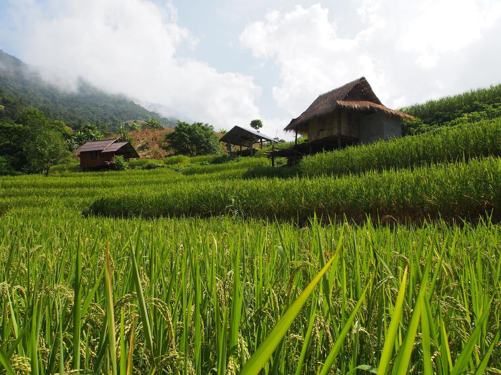 Kowitfarmstay Ban Mae Pan Noi Exteriör bild