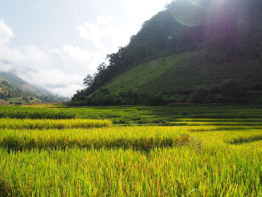Kowitfarmstay Ban Mae Pan Noi Exteriör bild