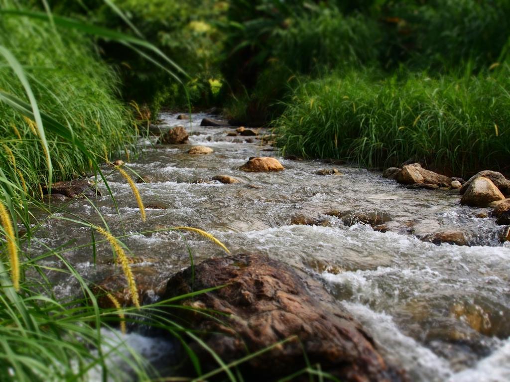 Kowitfarmstay Ban Mae Pan Noi Exteriör bild