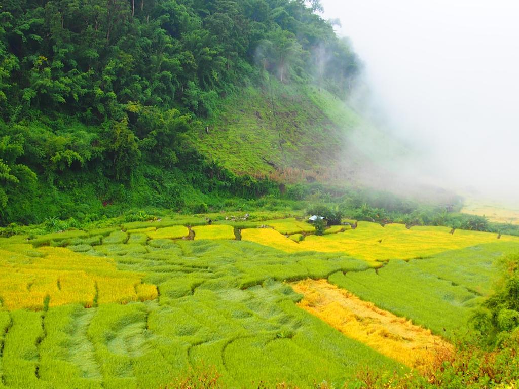 Kowitfarmstay Ban Mae Pan Noi Exteriör bild