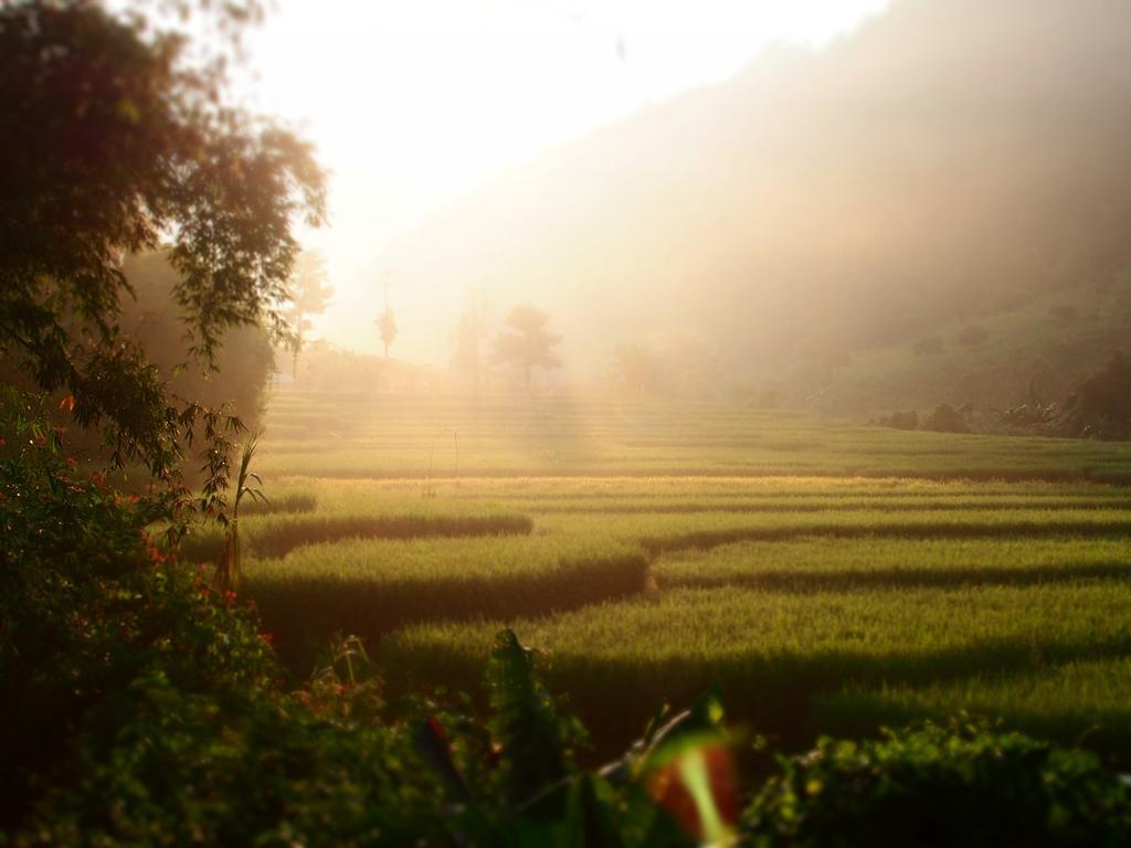 Kowitfarmstay Ban Mae Pan Noi Exteriör bild