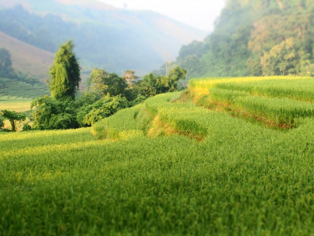 Kowitfarmstay Ban Mae Pan Noi Exteriör bild