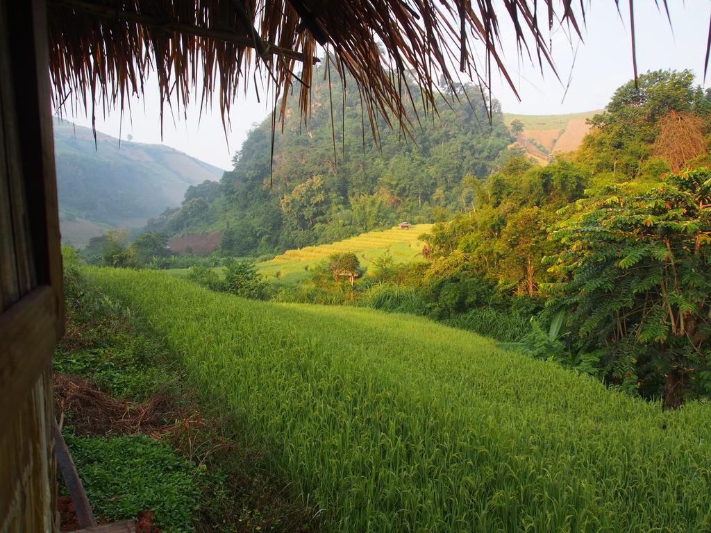 Kowitfarmstay Ban Mae Pan Noi Exteriör bild