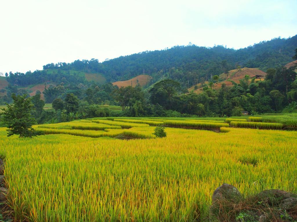 Kowitfarmstay Ban Mae Pan Noi Exteriör bild