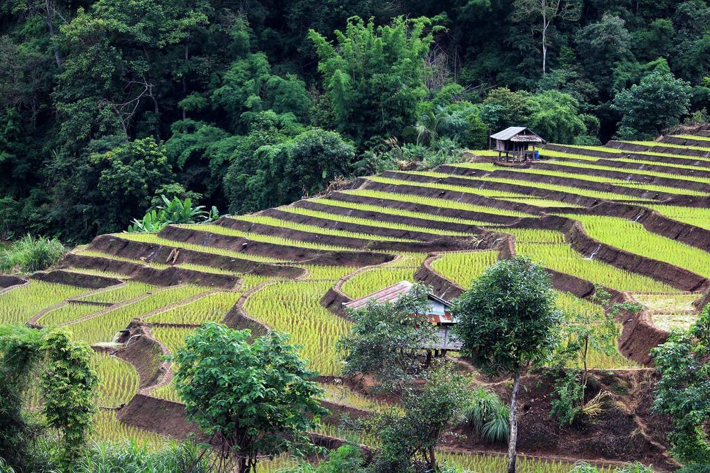 Kowitfarmstay Ban Mae Pan Noi Exteriör bild