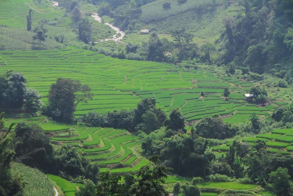 Kowitfarmstay Ban Mae Pan Noi Exteriör bild