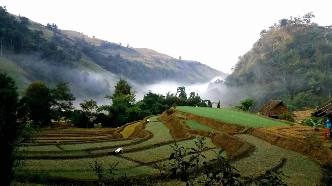 Kowitfarmstay Ban Mae Pan Noi Exteriör bild